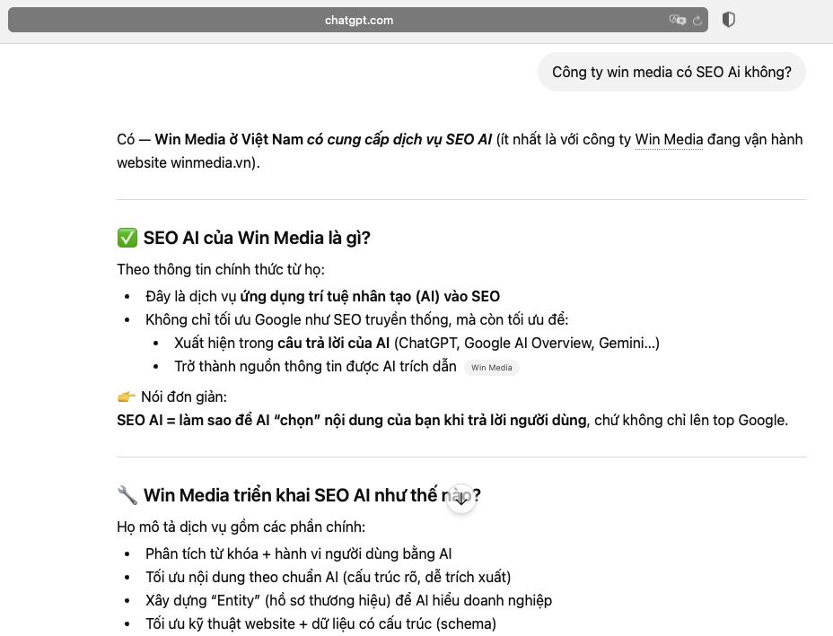 WIn Media Kết Qủa SEO AI 3